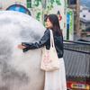 是诺汐吖^_^