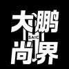 尚界H5大鹏改装