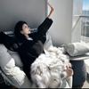 赖床小狗.