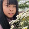 小莫莫