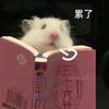 人醒夢亦碎