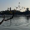 小 海明