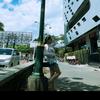 小柏
