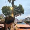 差错百出