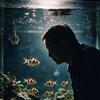苗哥要开缸🐠（回）
