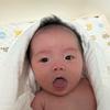 拉布拉多多