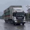 杭 广 线 上 的 网 红 神 车