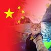 🙄一眼万年〽