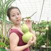 宝妈楼顶菜园