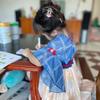 琳君是小公主呀👸