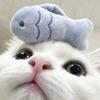小鱼🐟
