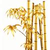 ঞᩚ玲悦听风ෆ༉