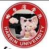 贝儿学姐👀