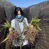 钰彤中草药
