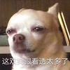 柠檬精🍋