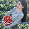 yeu明🍒.