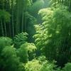 竹灵音寮