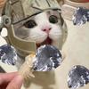 叙词（三角洲行动）