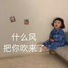 一条鱼可能