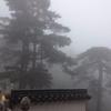 苏锋