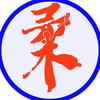 久久星柔力球