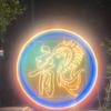 毛髓王心