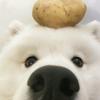 宇城飞