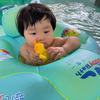 芒果小Baby