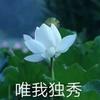 徐栩如生