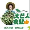 大芒人
