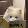 利奥利奥利