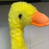 🦆鸭哥