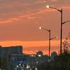 牛哥电商版