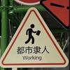 六边形311