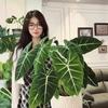朱珠的植乐园