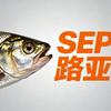 SEP路亚