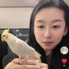 娜家鹦鹉养殖（鞍山）