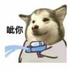 大橘子