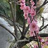 轻行山野