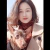 苹果会转圈