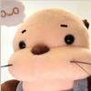 耶耶耶