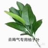 冰绿茶少糖