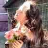 鱼香rose