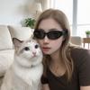 福宝是只喵🐱