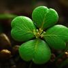 凪卄🍀