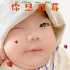 豆仔