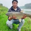 风吹麦田