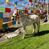 ༼ཁམས་པའི་བསམ་འཐོབ༽