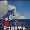 -  谁  明  浪  子  心