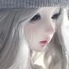 ♡MH宝贝明昊求婚版👰🏻‍♀️